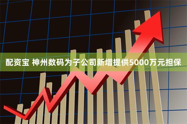 配资宝 神州数码为子公司新增提供5000万元担保