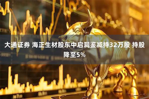 大通证券 海正生材股东中启洞鉴减持32万股 持股降至5%